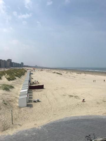 Ferienwohnung Apollo 1 Nieuwpoort Exterior foto