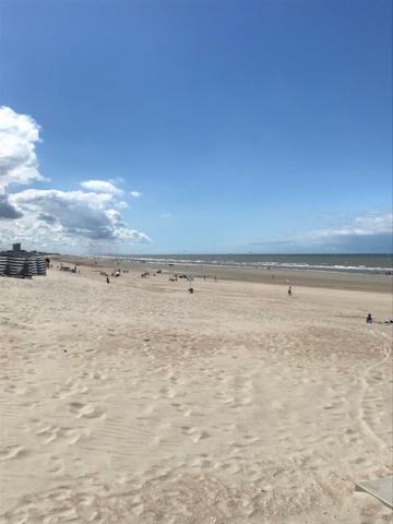 Ferienwohnung Apollo 1 Nieuwpoort Exterior foto